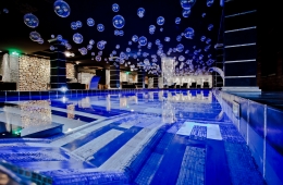 Indoor Pool Royal Castle Design &amp; SPA (3)