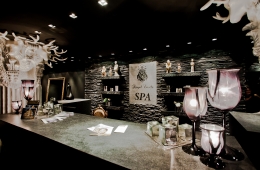 Spa Royal Castle Design &amp; SPA (1)
